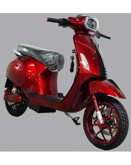 ELECTRIC BIKE LD-507 72V / 32AH